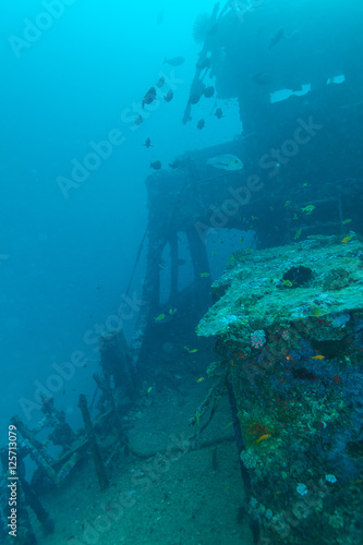 Shipwreck in Ocean Blue, Maldives © Rostislav Ageev