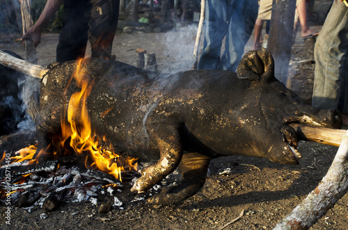 Butchering a pig for a wedding feast in a northern Thai village(