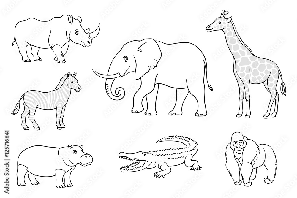 African animals in contours