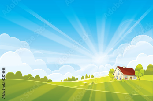 Sunrice summer or spring landscape - vector illustration 