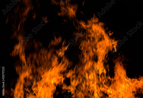 Fire flames on a black background