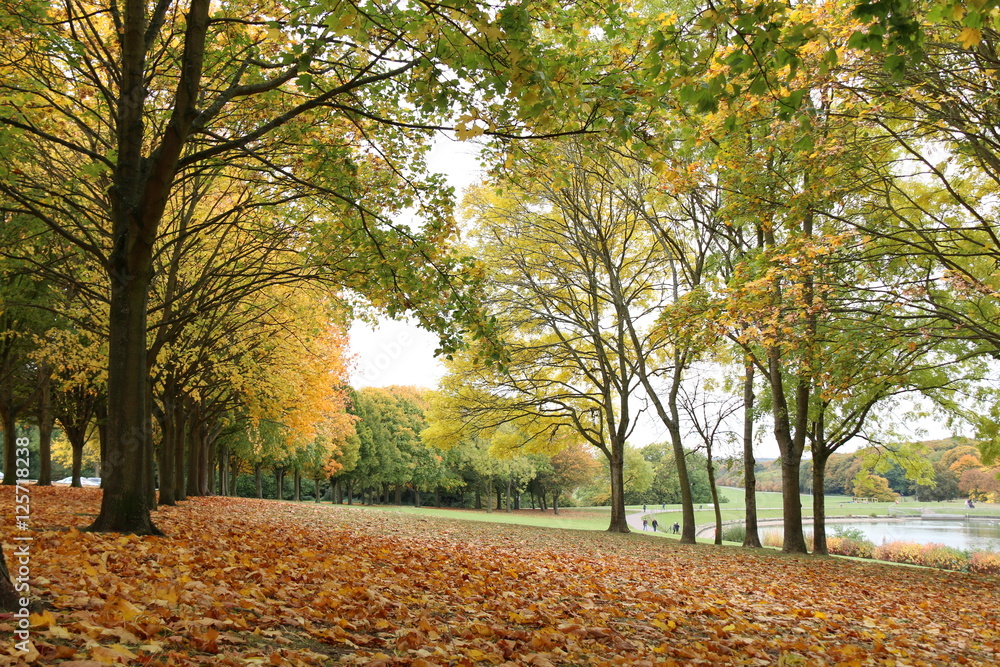 autumn autumn
