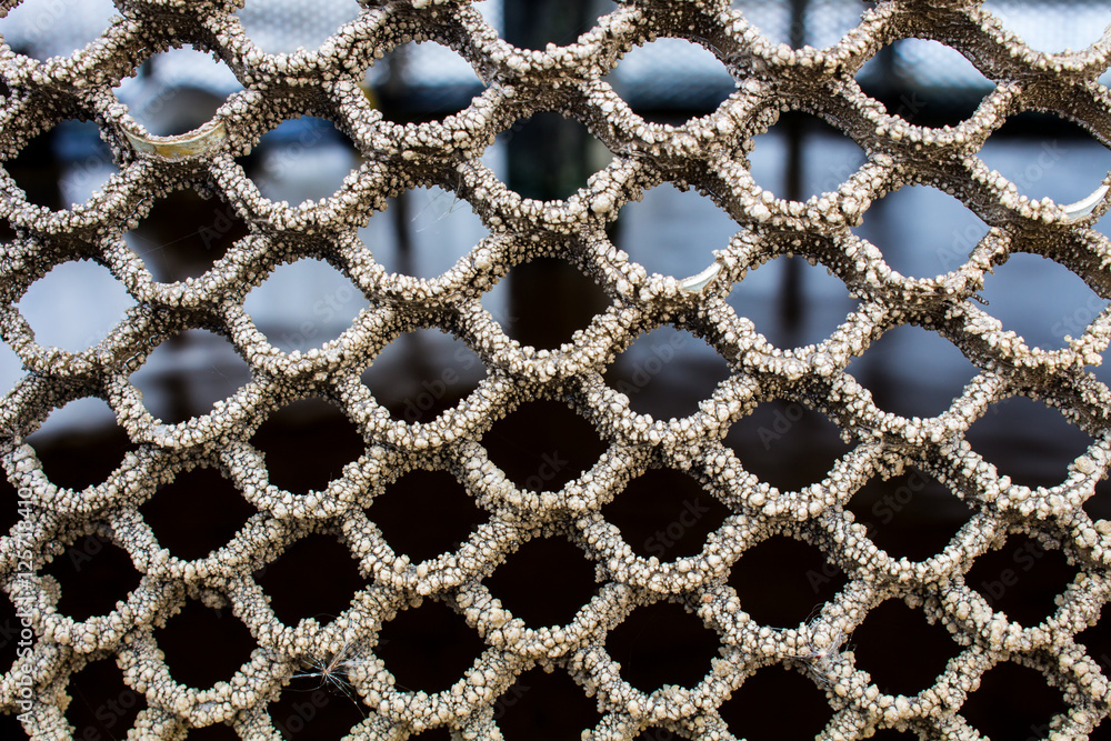 Picture concept and idea of The Trypophobia Picture concept and idea of The Trypophobia