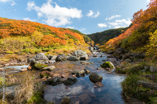 Mountain stream and autumn colors, Daisetsuzan National Park, Hokkaido