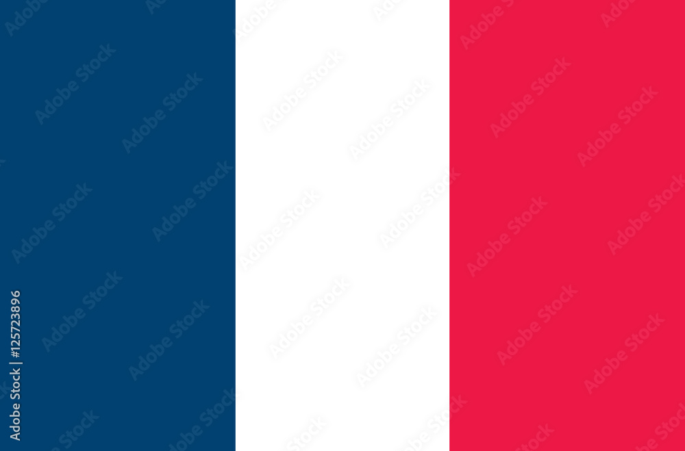France vector flag