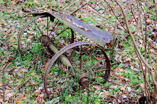 Abandoned Cart in Woods