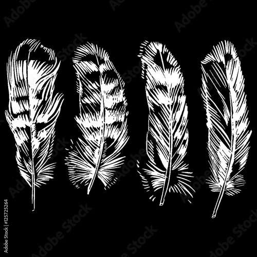 Hand-drawn vector feather, ink handpicked