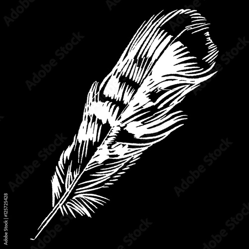 Hand-drawn vector feather, ink handpicked