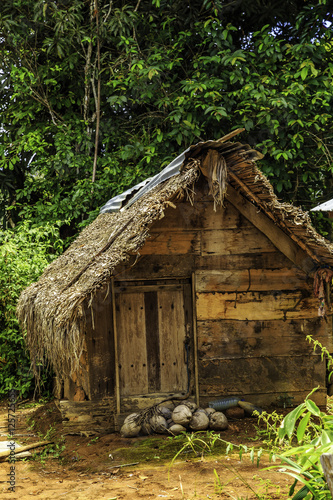 Village in Surinam © Rene