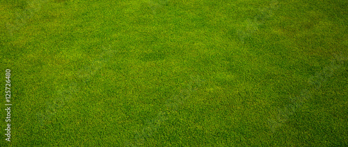 Green grass texture from a golf course photo