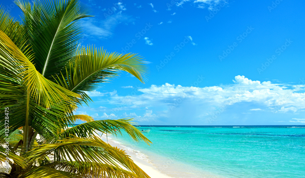 Fototapeta premium Caribbean island