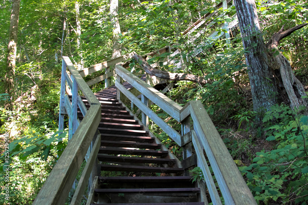Obraz premium Stairway Trail