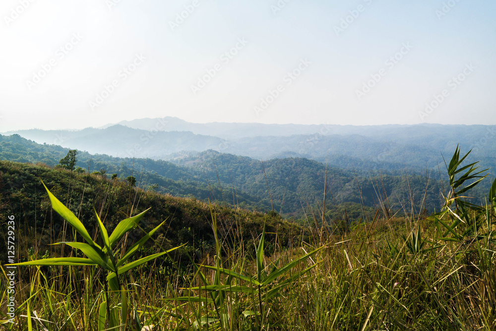 Fototapeta premium Wildnis in Thailand