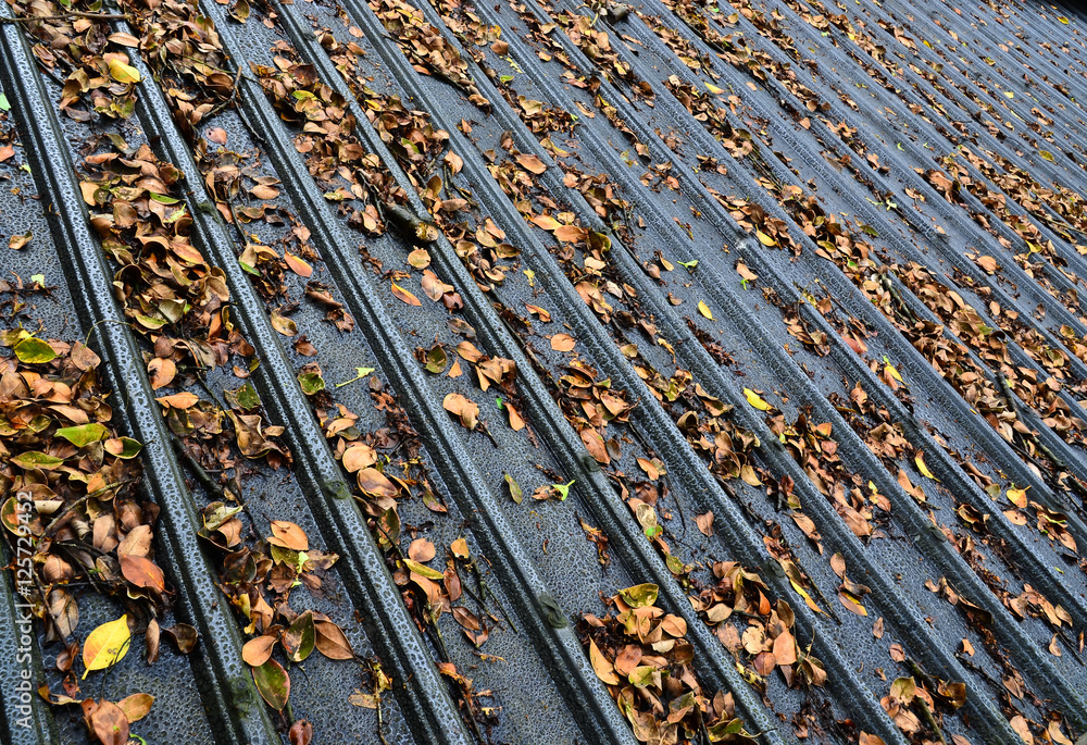 Obraz premium Iron roof of a building with lots of autumn leaves falling on it. There are grey, brown, green and yellow colors in the image.