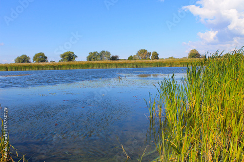 View on the river Dnieper