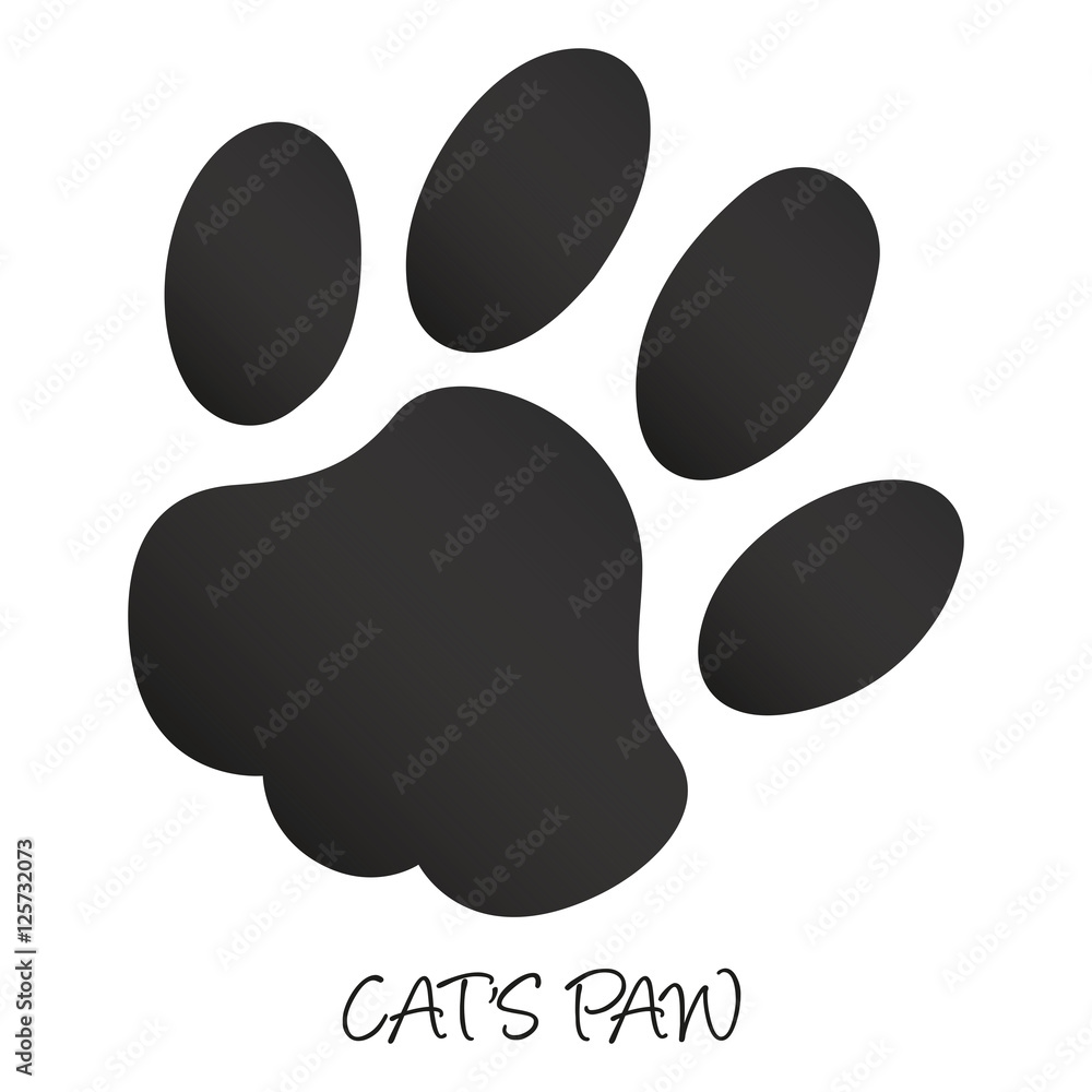 Katzenpfote Katzenpfote