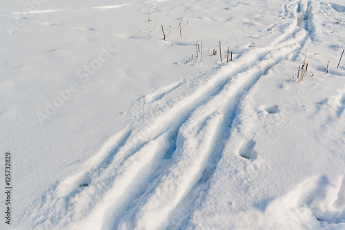 Cross country ski tracks in freshly fallen snow © emola09