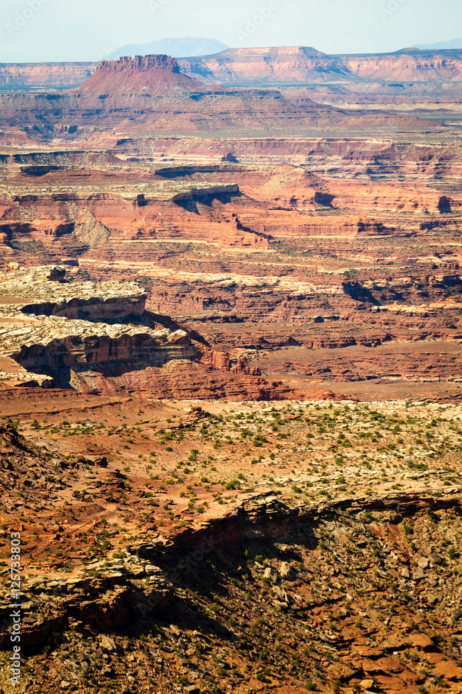 Fototapeta premium Canyonlands National Park
