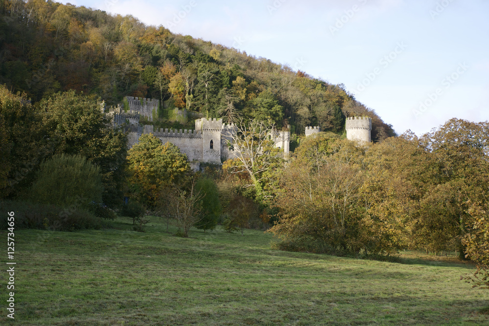 Gwrych Castle nestled in the trees on a hill side behind trees in Wales - European castle in the UK during Autumn - close