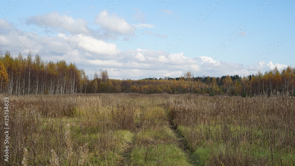 Naklejka premium meadow