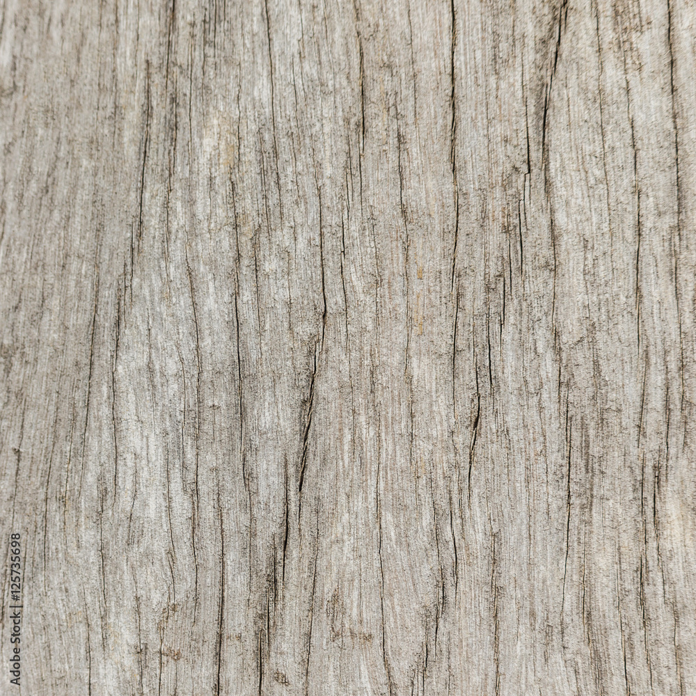 Naklejka premium texture of bark wood use as natural background