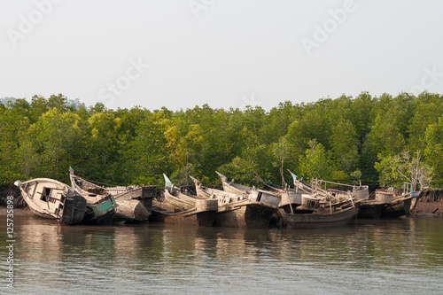 Boat wreck with Mangroves.