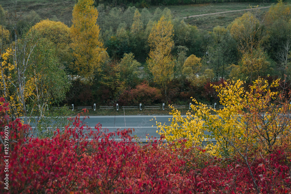Obraz premium beautiful view of the road from a height. autumn