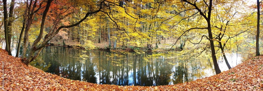 panorama rzeki jesienią - obrazy, fototapety, plakaty 