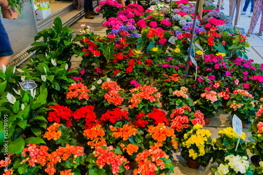 Kouter Flower Market