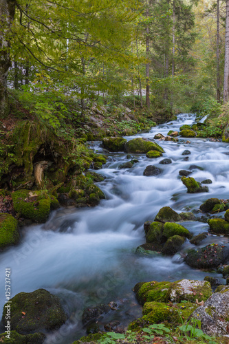 Torrente   Laghi di Fusine