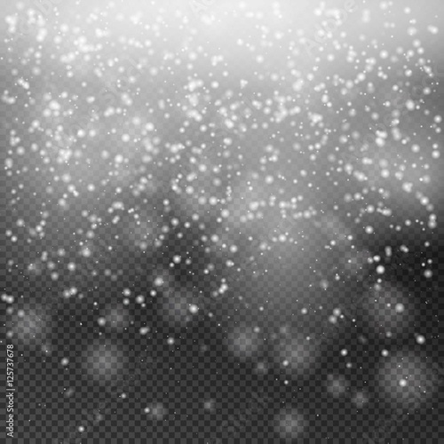 Falling Christmas Shining transparent beautiful snow isolated on transparent background. Snowflakes  snowfall. snowflake vector. Vector illustration