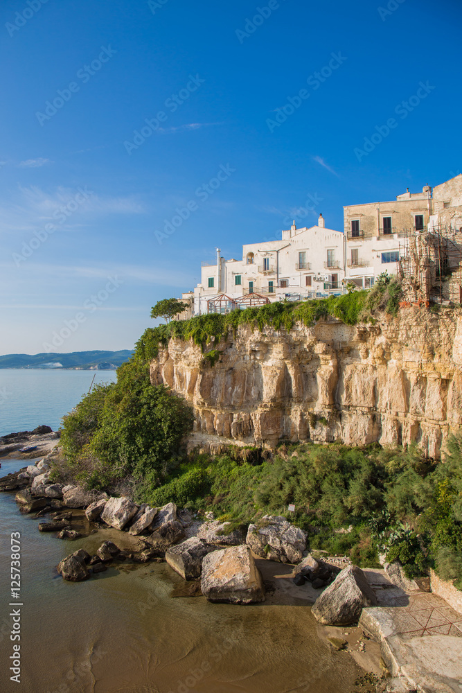 Vieste on the cliff