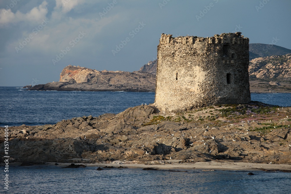 Torre della Pelosa, Sardinia