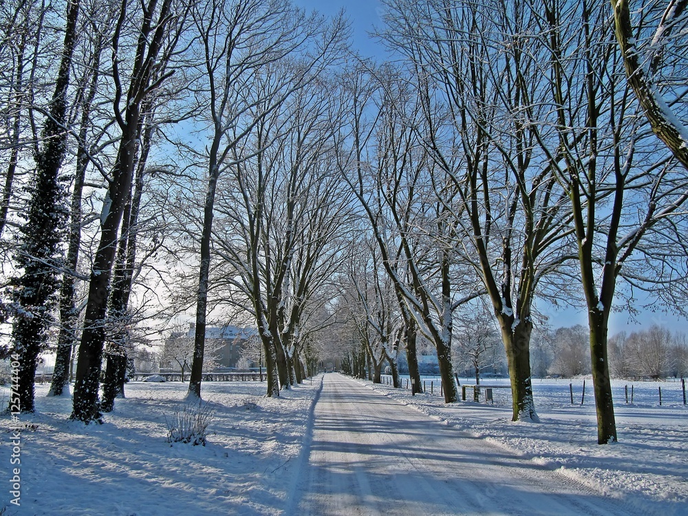 Obraz premium Winterallee am Niederrhein 