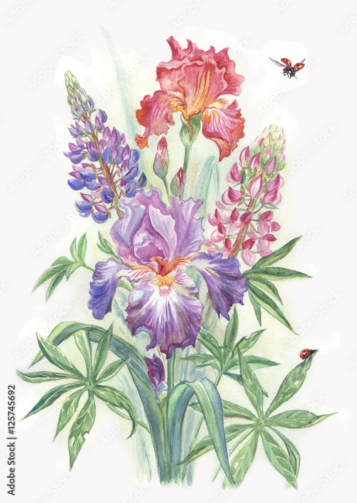 Bouquet from irises and lupines and a ladybug. Water color drawing.