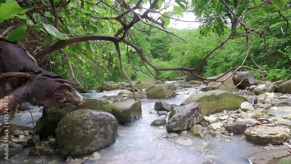Coast of the Agura river on the territory of the Khosta district of Sochi in Krasnodar Krai of Russia Coast of the Agura river on the territory of the Khosta district of Sochi in Krasnodar Krai of Russia