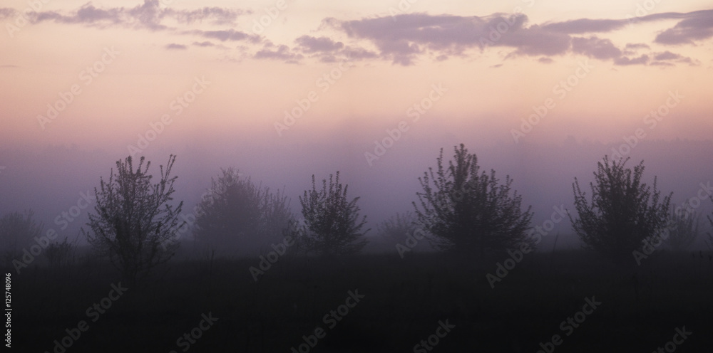 Foggy sunrise on the floodplain Foggy sunrise on the floodplain
