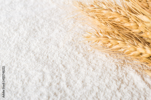 Scattered flour and wheat ears.Macro. Close up.