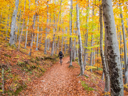Mountain biking in a forest in autumn © Petra
