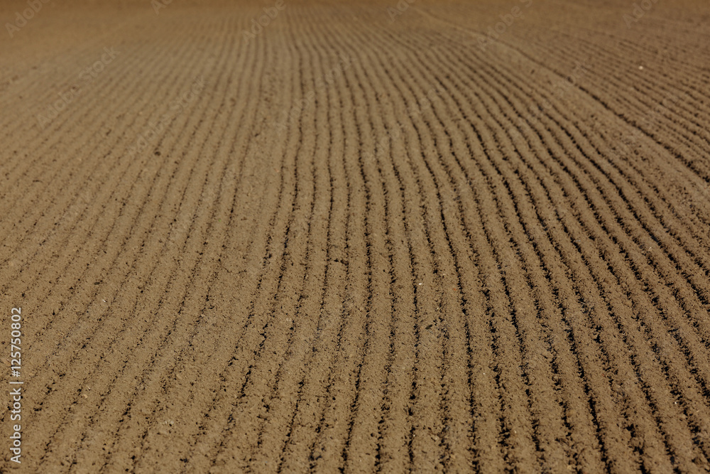 Naklejka premium plowed field