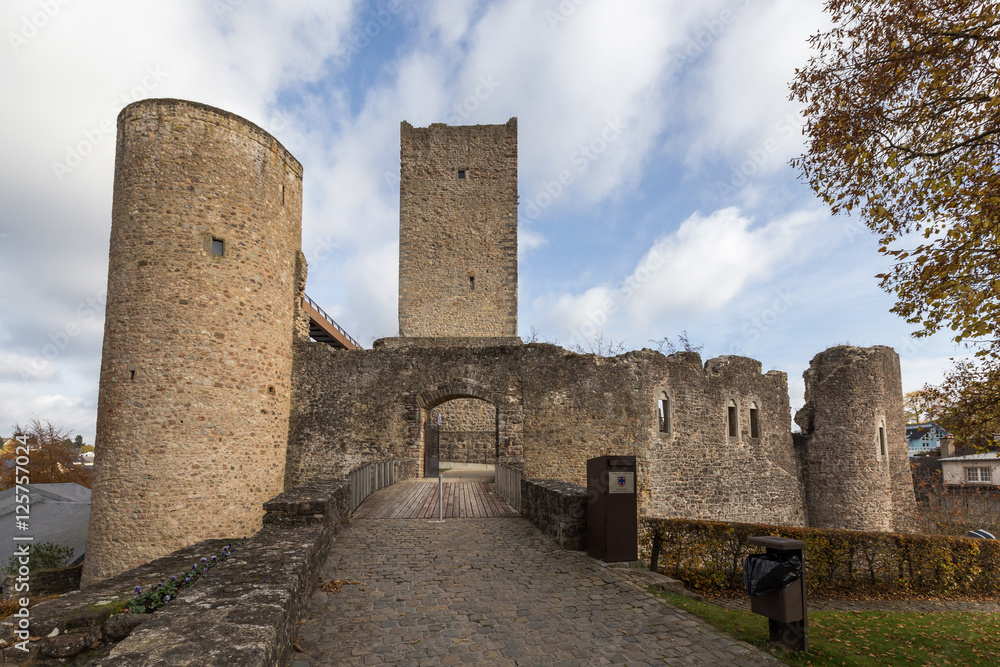 Church and castle in Useldingen