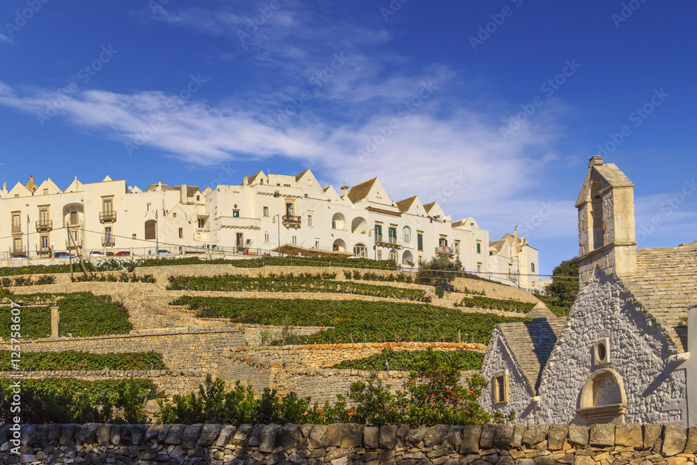 The most beautifull Old Towns in Italy:Locorotondo,laid on the top of a hill, has one of the most suggestive skylines of Apulia.