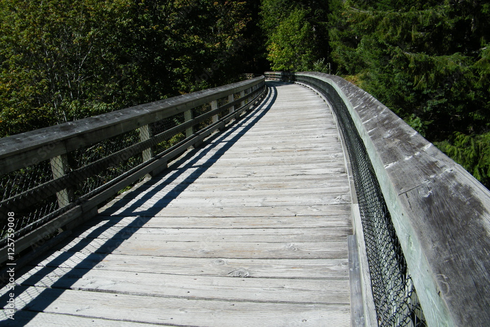 Old Wooden Train Trestle Bridge Converted to Hiking Walking Biking Cycling Path