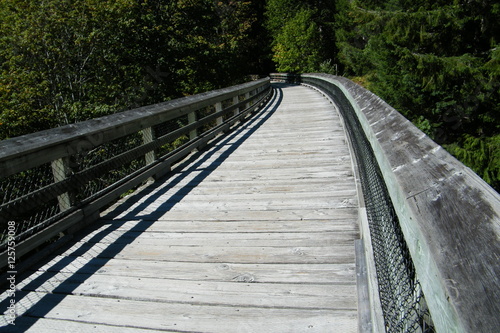 Fototapeta Naklejka Na Ścianę i Meble -  Old Wooden Train Trestle Bridge Converted to Hiking Walking Biking Cycling Path