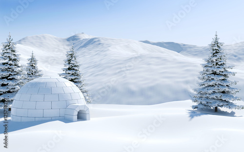 Tableau sur toile Igloo in snowfield with snowy mountain and pine tree covered with snow, Arctic l