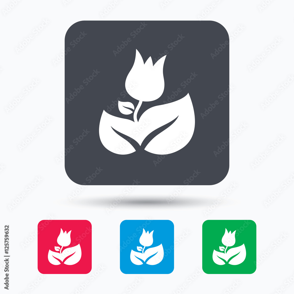 Rose flower icon. Florist plant with leaf symbol. Colored square buttons with flat web icon. Vector Rose flower icon. Florist plant with leaf symbol. Colored square buttons with flat web icon. Vector