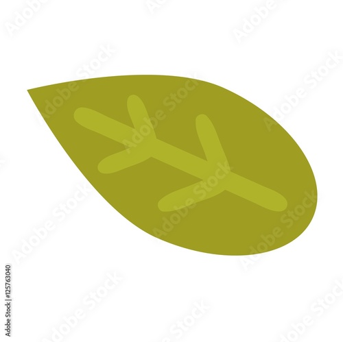 Leaf icon vector illustration.