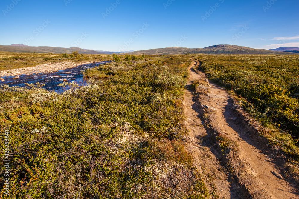 Naklejka premium sunny landscape Norway mountains Dovrefjell