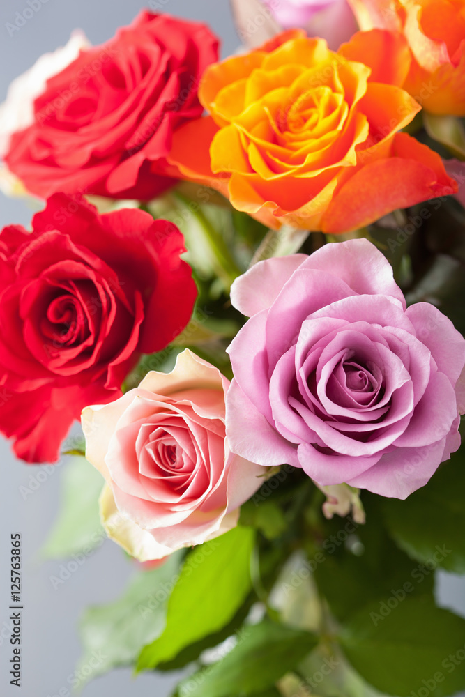 beautiful colorful rose flowers bouquet