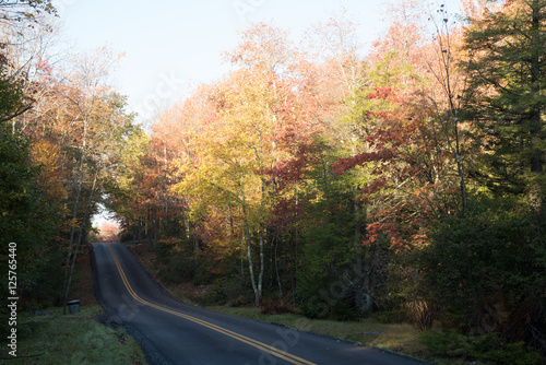 Highway through fall foliage